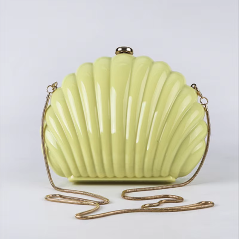 Lady Mini Shell Bag Acrylic Hi - Luxury Bags Mini avis et prix