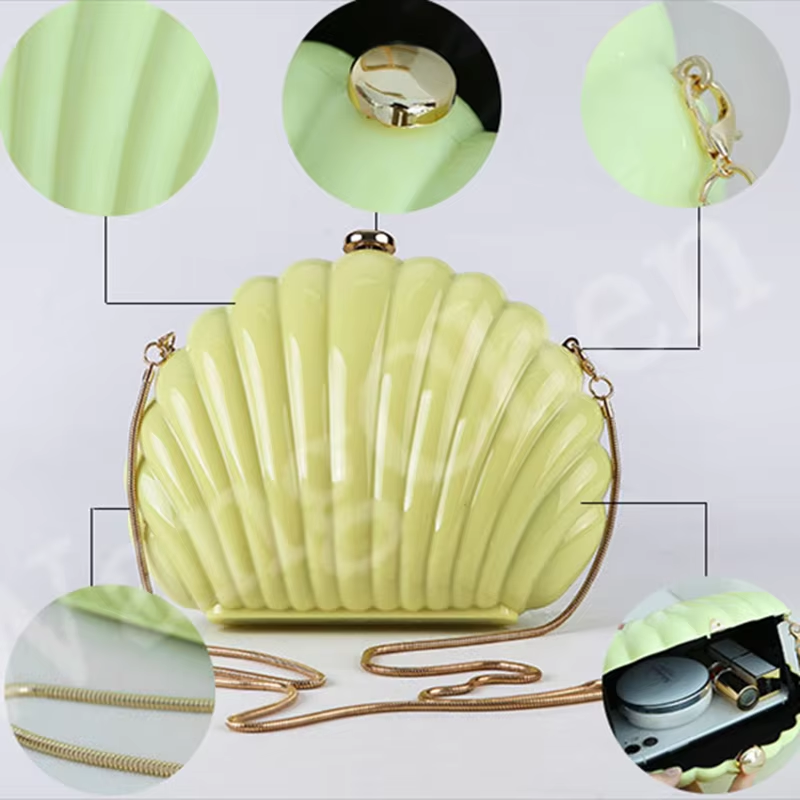 Lady Mini Shell Bag Acrylic Hi - Luxury Bags Mini avis et prix