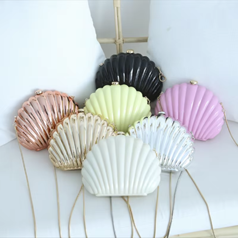Lady Mini Shell Bag Acrylic Hi - Luxury Bags Mini avis et prix