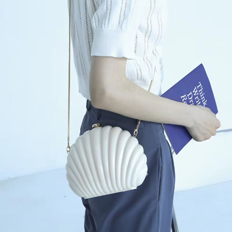Lady Mini Shell Bag Acrylic Hi - Luxury Bags Mini avis et prix